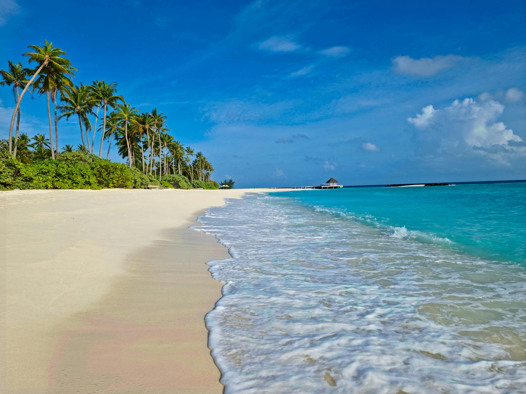 serene tropical beach in the maldives